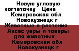 Новую угловую когтеточку › Цена ­ 400 - Кемеровская обл., Новокузнецк г. Животные и растения » Аксесcуары и товары для животных   . Кемеровская обл.,Новокузнецк г.
